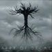Apex OF Decay
