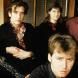 Triffids