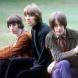 Nazz