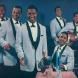 The Flamingos