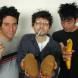 Shellac