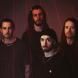 Sylosis