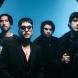 Dayseeker