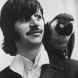 Ringo Starr