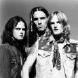 Silvertide