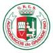 G.R.E.S. Acadêmicos do Grande Rio (RJ)