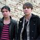 The Cribs