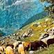 Ozeias de Paula