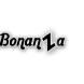 Bonanza Band