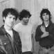 Wallows