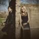 Haley & Michaels