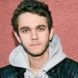 Zedd