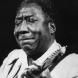 Muddy Waters