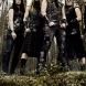 Ensiferum