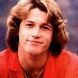 Andy Gibb