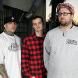 The Acacia Strain