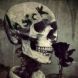 In Sick