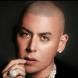 Cosculluela