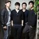 Callalily