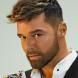 Ricky Martin
