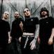 Jinjer