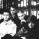 Coil