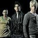 Skins