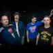 Grinspoon