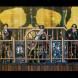 Kat-tun