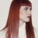 Owlle