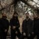 Like Moths To Flames