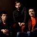 The Cribs
