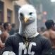 Mc Gaivota