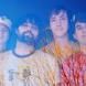 Animal Collective