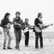 Desert Rose Band