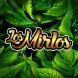 Los Mirlos