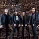 Gamma Ray