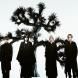 Plastic Tree