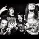 Maximum The Hormone