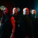 Disturbed