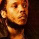 Stephen Marley