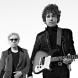 The Kooks