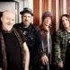 Spin Doctors