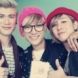 Lunafly