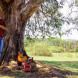 Enio Jr & Matheus