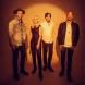 Metric