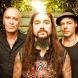 The Winery Dogs