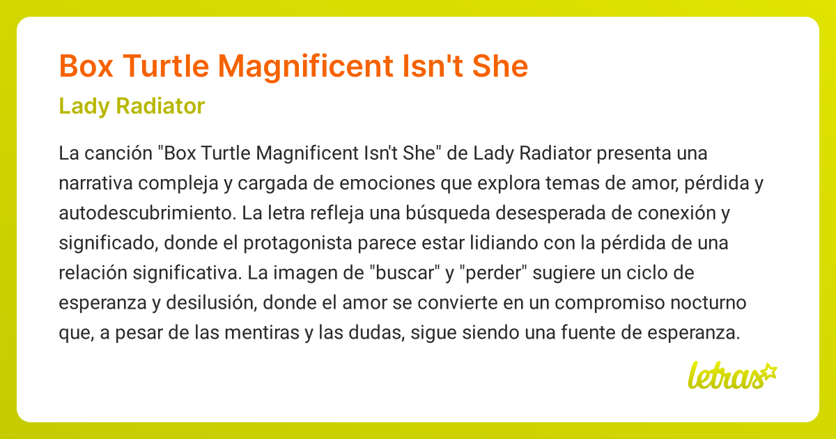 Significado de la canción Box Turtle Magnificent Isn't She (Lady ...