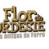 Foto de: Forró Flor do Nordeste
