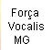 Foto de: GRUPO FORÇA VOCALIS